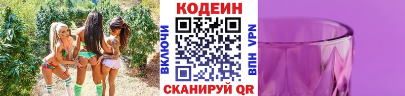 Купить закладки  Жердевка  Кодеин Purple Drank 