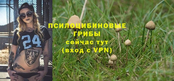 тгк Наволоки