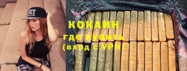 шишки Михайлов