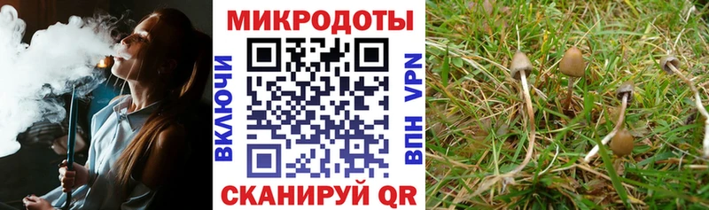 Купить где  Жердевка  Псилоцибиновые грибы прущие грибы 
